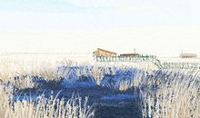 霜降节气吃什么养胃