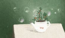 今日霜降 秋天将逝冬季将至