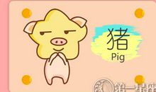 属猪外出打拼能逆袭吗