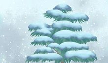 2020年小寒是几月几号农历 小寒的时间段