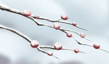 属龙父母会怎么教育孩子