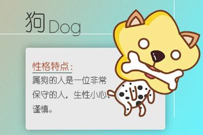 94只狗有一个伟大的生活，那些年需要注意