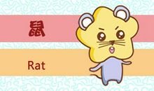 84年属鼠买房子买几楼最好 适合住几楼