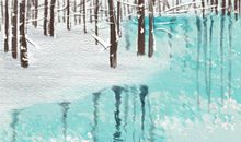 传统花朝节做什么？南方百姓多踏青