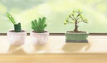 1988年大林木命缺什么 木命运势