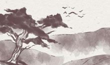 寒露节气什么注意事项 具体有哪一些内容呢