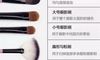 化妆刷和使用介绍