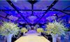 婚礼预订价格婚礼除了喝酒吗?