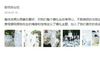 成都高流行的婚礼规划排名2021