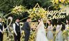 厦门办公室婚礼,厦门婚礼价格多少钱