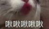 2020这些婚礼款式不会拍摄!否则...