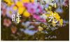 拍婚礼照片,最好看什么颜色?