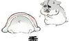 一套男士表达包