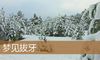 梦见拔牙