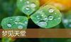 梦见天堂
