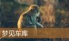 梦见车库