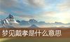 梦见戴孝是什么意思