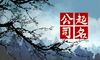 票务行业新公司三个字的公司名称
