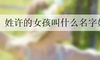 姓许的女孩叫什么名字好