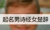 起名男诗经女楚辞