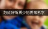 苏姓好听稀少的男孩名字
