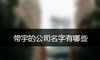 带宇的公司名字有哪些