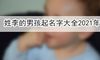 姓李的男孩起名字大全2021年