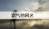 霸气的网名