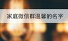 家庭微信群温馨的名字