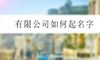 有限公司如何起名字