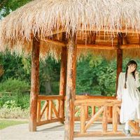 四个星座像人一样，第一个看，它是接近