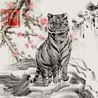 在2022年,他在老虎年份是一个长期的财富。