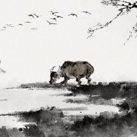 85属牛男在2022桃花运 桃花位相二月增加择偶几率