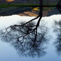 大规模面部特征的性能特征是什么？