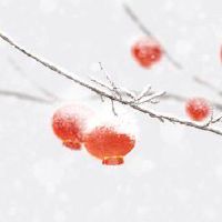 腊月二十三灶王爷上天 吃糖瓜寓意好