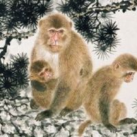 2004年，一名猴子女2022八十八岁的辛格，这是18岁的猴子女2022年每月财富