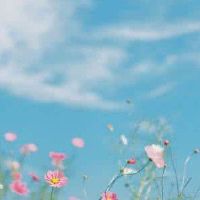 恋爱，你必须阅读你不明白的星座。