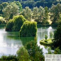 爸爸属狗和孩子属羊这样好吗