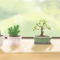 第十二个月球可以扔老衣服吗？