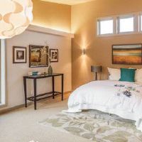 扫管笏分析卧室的水 - 水吗？