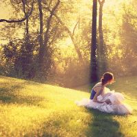 太多的十二生肖恋爱了