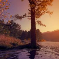 杰出的父母,四个十二生肖的孝顺