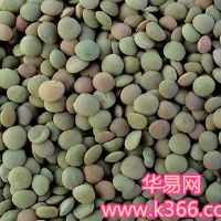 小扁豆的梦想