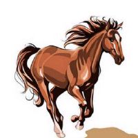 2002年，2022年的一个妇女，2022年20岁，2022,022,022，每月2022年。