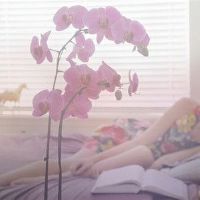 十二生肖中学机智慧，是智商最高的三大僵尸