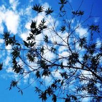 气质的人有八个人物