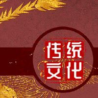 你有第十二个月球沙拉有任何禁忌吗？