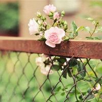 最潜力并不擅长刺激自己的黄道带