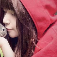 12个黄道带的四个十二生肖人