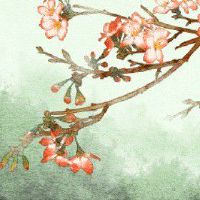 正月初五出生的男孩 晚年生活丰足顺遂